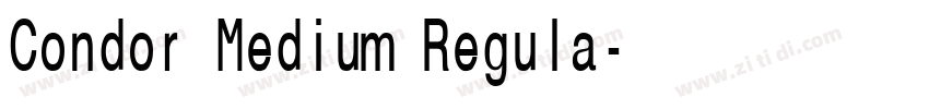 Condor Medium Regula字体转换 Condor Medium Regula字体转换